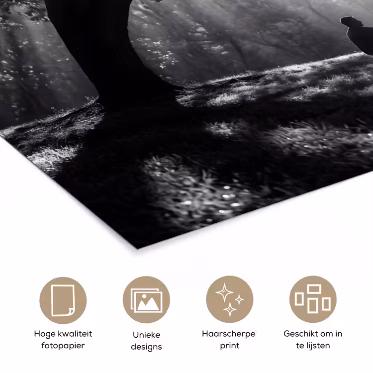 Mens - Hond - Natuur - Zwart-wit - Silhouet poster papier klein -closeup_NL