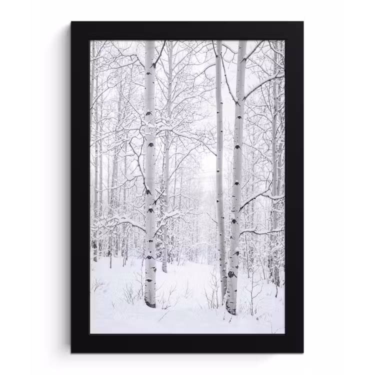 Berkenbomen - Sneeuw - Winter - Bos - Wit fotolijst zwart zonder passe partout klein -3d