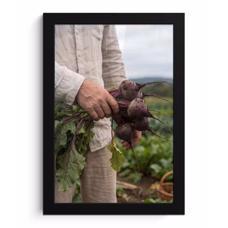 Bieten - Vers - Moestuin fotolijst zwart zonder passe partout klein -3d