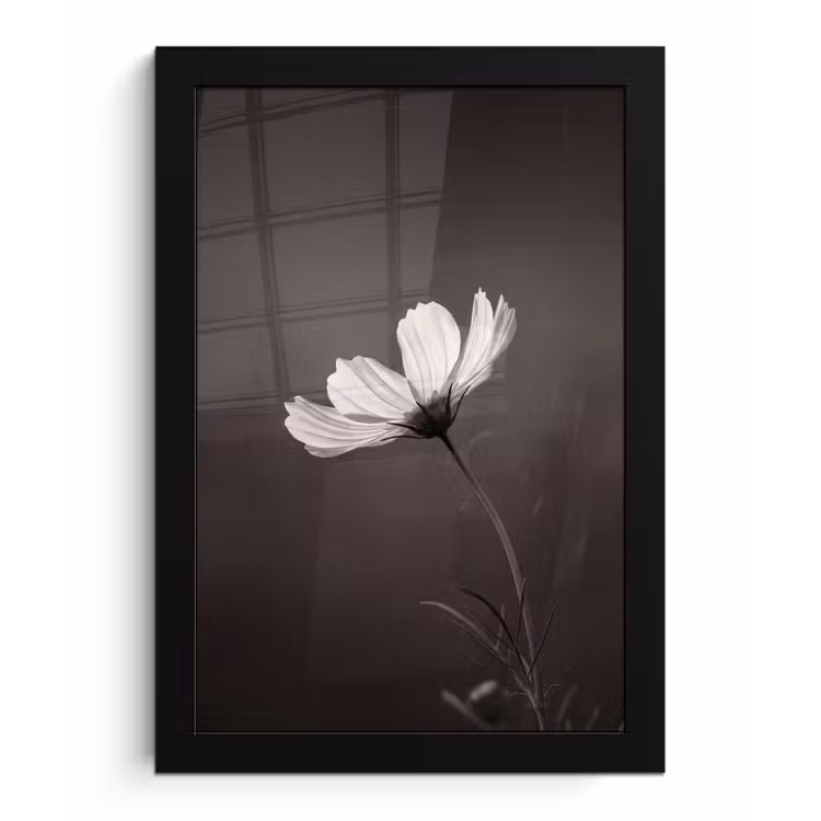 Bloem - Minimalistisch - Zwart - Wit fotolijst zwart zonder passe partout klein -3d