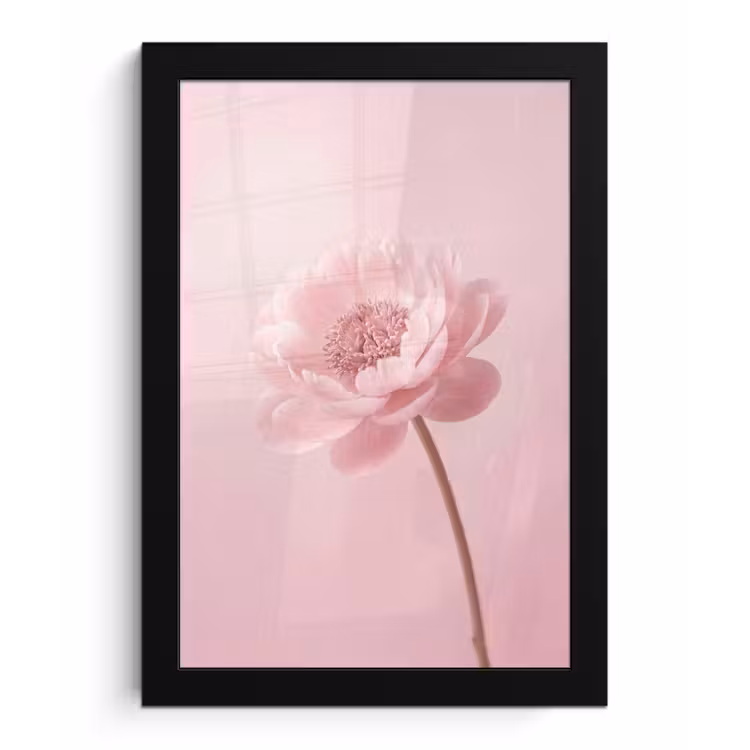 Bloem - Pioenroos - Roze fotolijst zwart zonder passe partout klein -3d