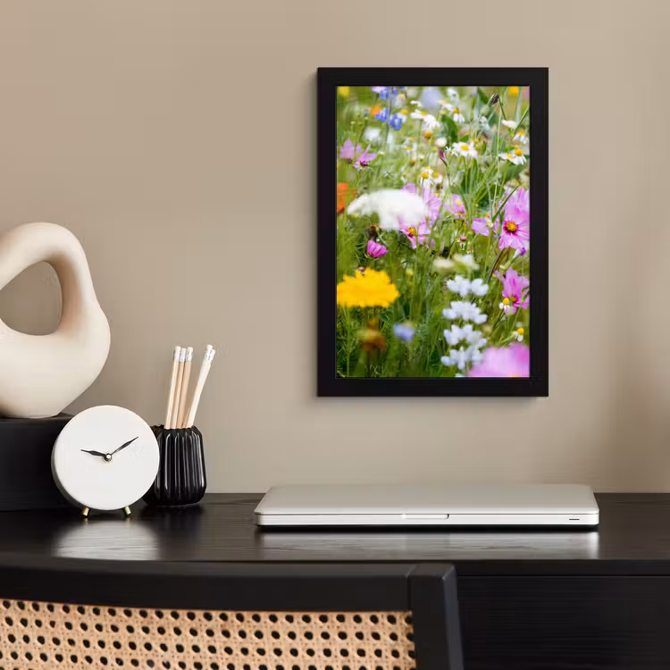 Bloemen - Natuur - Groen - Gras - Paars - Wit fotolijst zwart zonder passe partout klein -sfeer1