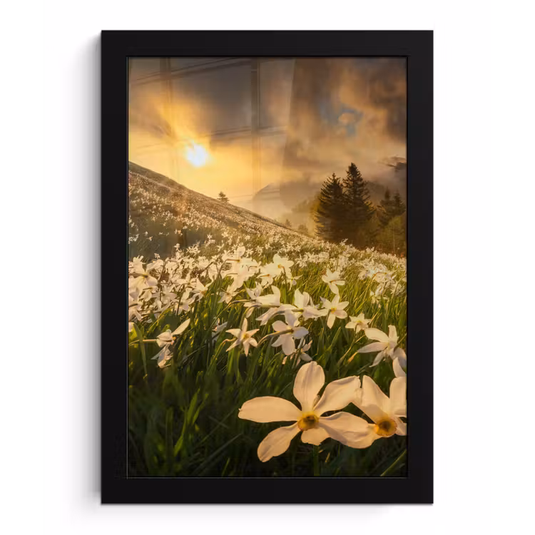Bloemenveld - Heuvels - Zonsondergang - Berg - Natuur - Wit - Heuvels fotolijst zwart zonder passe partout klein -3d