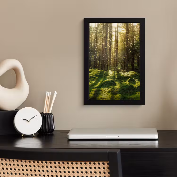 Bomen - Bos - Mos - Planten - Zon - Natuur fotolijst zwart zonder passe partout klein -sfeer1