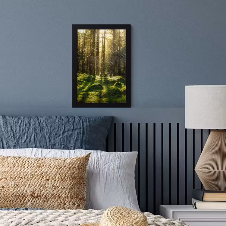 Bomen - Bos - Mos - Planten - Zon - Natuur fotolijst zwart zonder passe partout klein -sfeer3