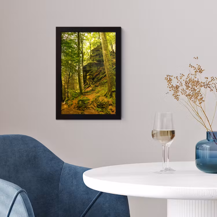 Bomen - Steen - Bos - Natuur - Planten fotolijst zwart zonder passe partout klein -sfeer4