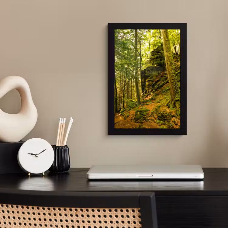 Bomen - Steen - Bos - Natuur - Planten fotolijst zwart zonder passe partout klein -sfeer1