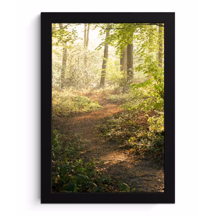 Bos - Bomen - Pad - Zon - Planten - Bladeren - Natuur fotolijst zwart zonder passe partout klein -3d