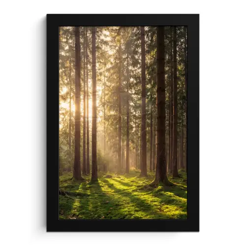 Bos - Gras - Zonlicht fotolijst zwart zonder passe partout klein -3d