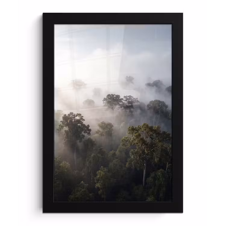 Bos - Mist - Natuur - Groen fotolijst zwart zonder passe partout klein -3d
