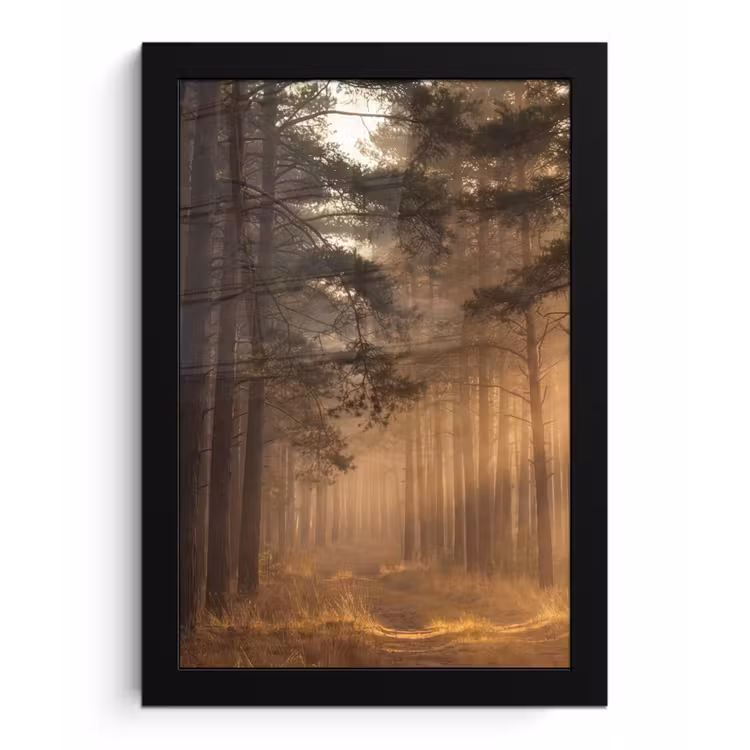 Bos - Mist - Zonlicht fotolijst zwart zonder passe partout klein -3d