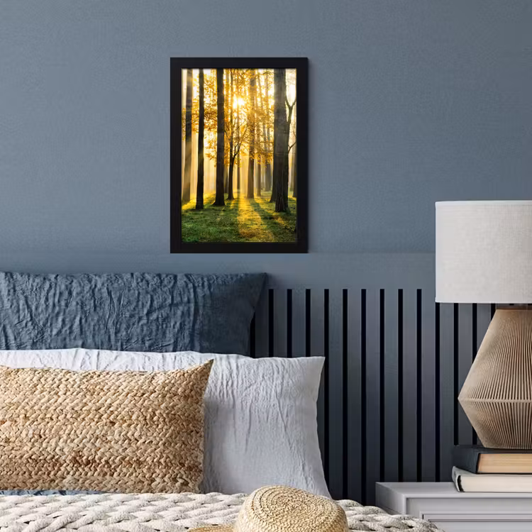 Bos - Zon - Bomen - Gras - Landschap - Natuur fotolijst zwart zonder passe partout klein -sfeer3
