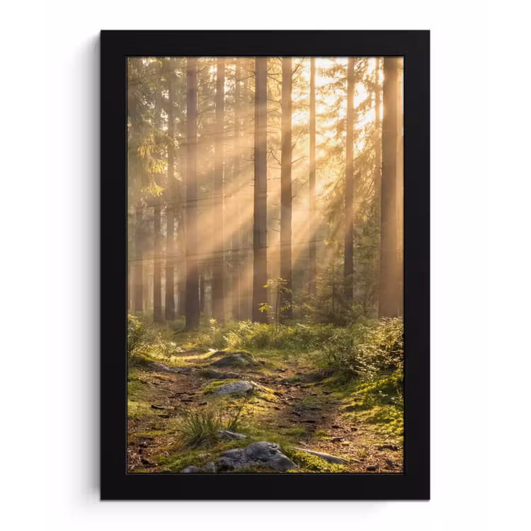 Bos - Zonlicht - Gras fotolijst zwart zonder passe partout klein -3d
