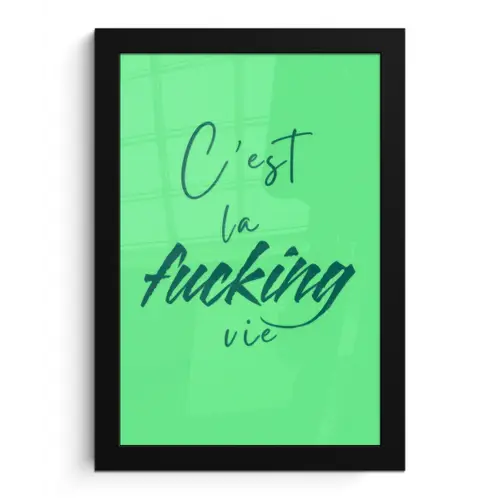 c'est la fucking vie - Groen - Penseelstijl fotolijst zwart zonder passe partout klein -3d