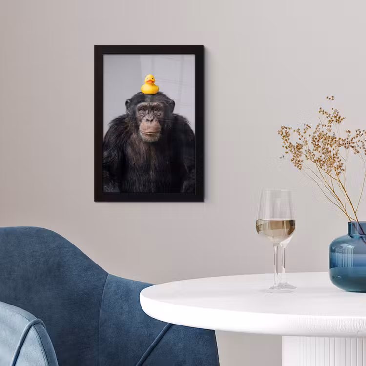 Chimpansee - Badeend - Grijs fotolijst zwart zonder passe partout klein -sfeer4