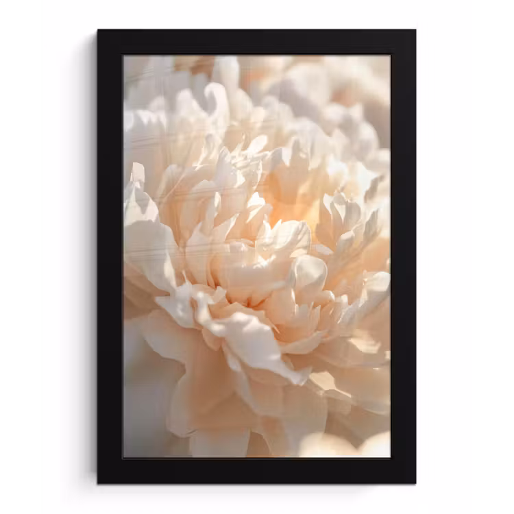 Close up - Pioenroos - Lichtroze fotolijst zwart zonder passe partout klein -3d