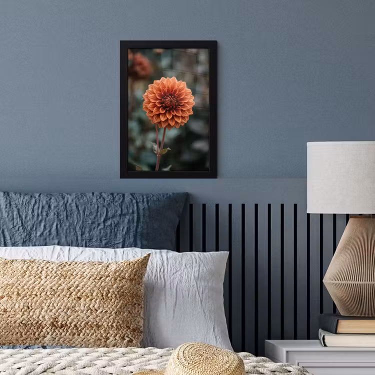 Dahlia - Bloem - Natuur - Sfeervol fotolijst zwart zonder passe partout klein -sfeer3