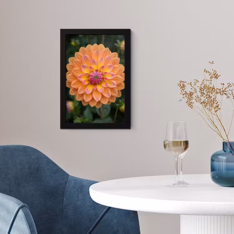 Dahlia - Bloem - Oranje fotolijst zwart zonder passe partout klein -sfeer4