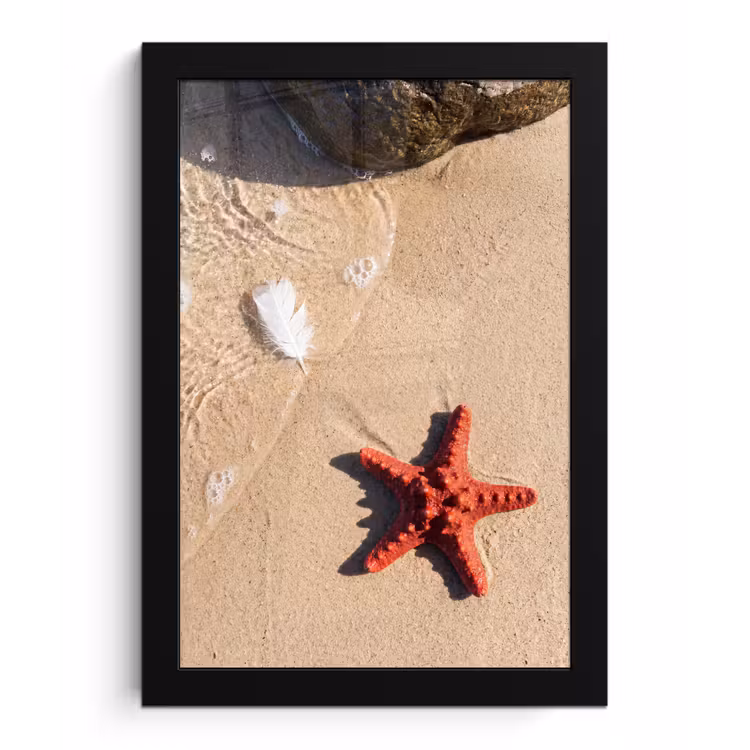 Dieren - Strand - Zee - Natuur - Rood fotolijst zwart zonder passe partout klein -3d