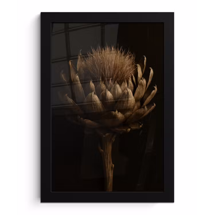 Donkerbruin - Bloem - Textuur - Artisjok fotolijst zwart zonder passe partout klein -3d