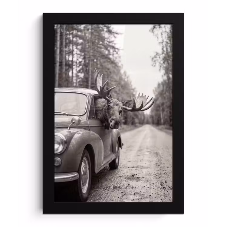 Eland - Auto - Gewei - Zwart - Wit fotolijst zwart zonder passe partout klein -3d