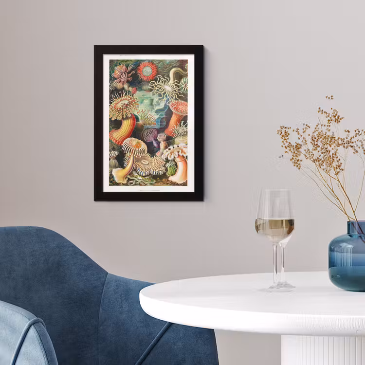 Ernst Haeckel - Anemoon - Retro - Natuur - Planten - Zee fotolijst zwart zonder passe partout klein -sfeer4