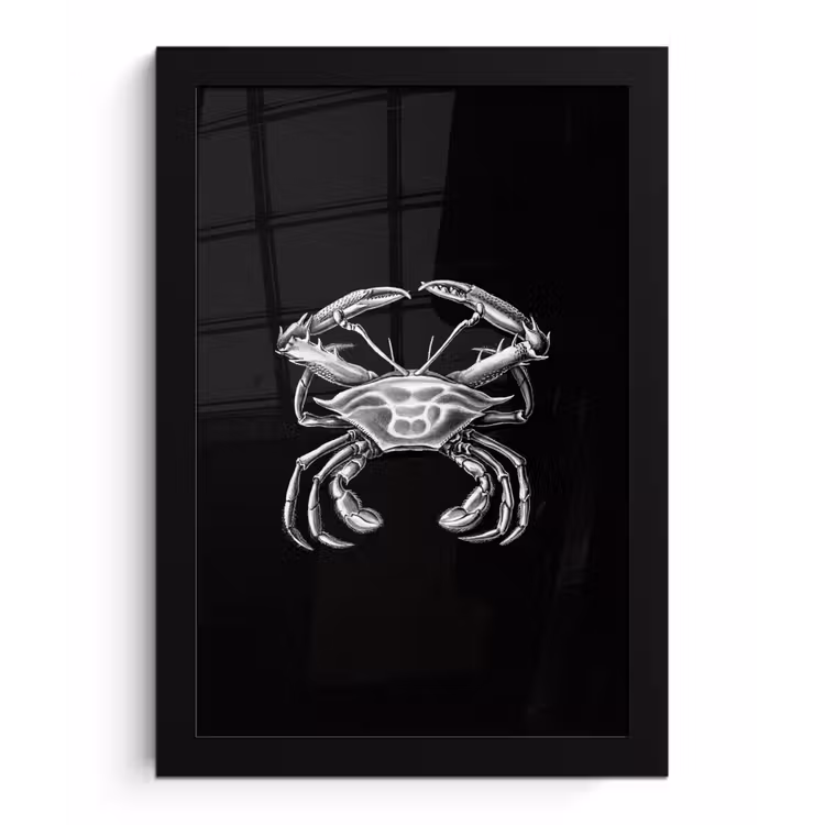 Ernst Haeckel - Krab - Oude meesters - Vintage - Dieren - Kunst fotolijst zwart zonder passe partout klein -3d