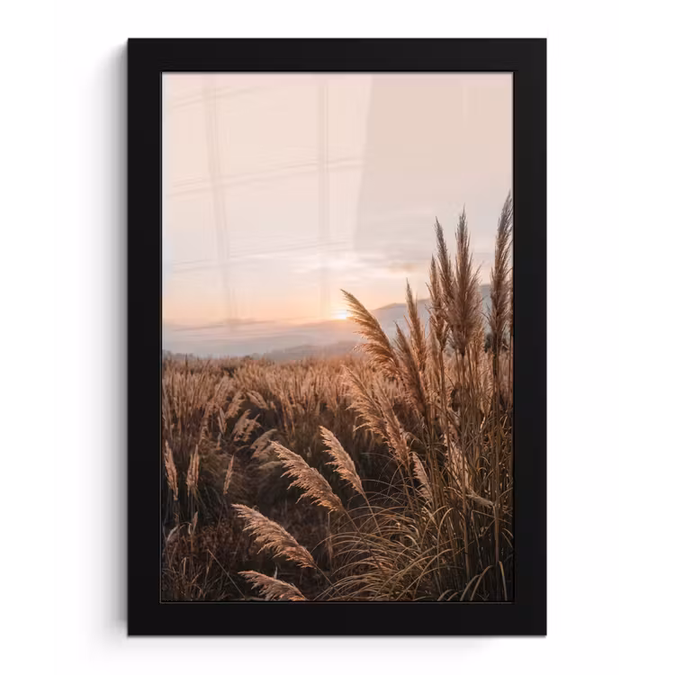 Gras - Veld - Zon - Natuur fotolijst zwart zonder passe partout klein -3d