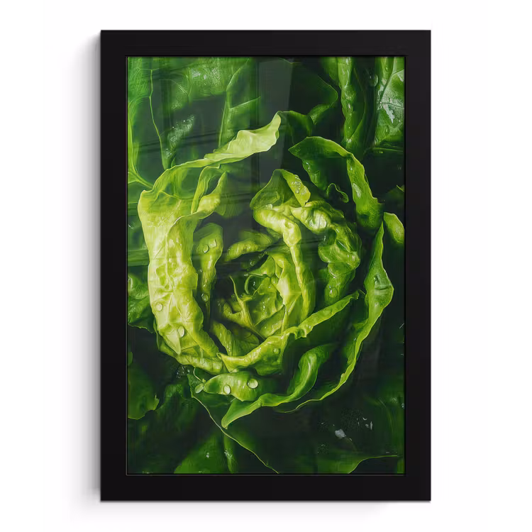 Groente - Sla - Groen fotolijst zwart zonder passe partout klein -3d