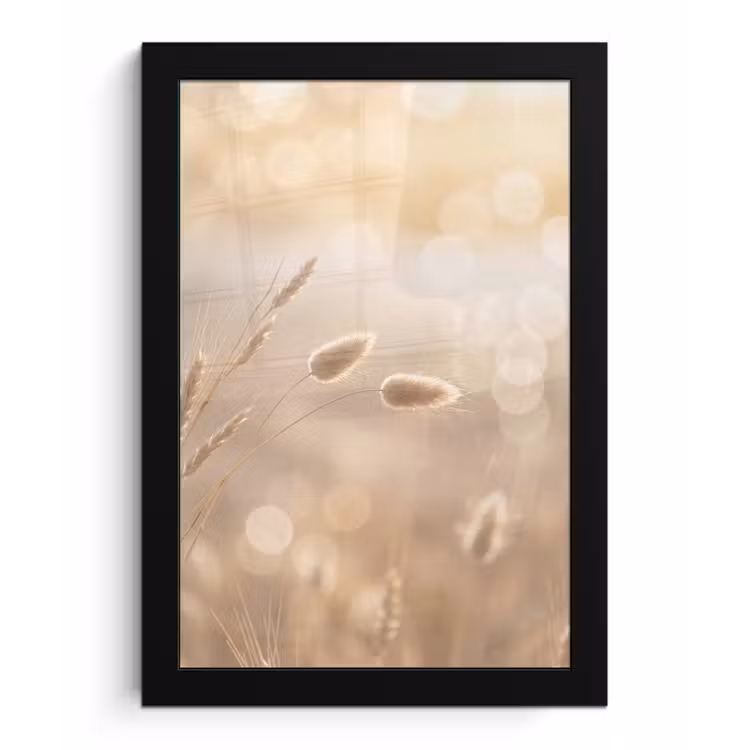Hazestaartgras - Graanharen - Zonlicht fotolijst zwart zonder passe partout klein -3d