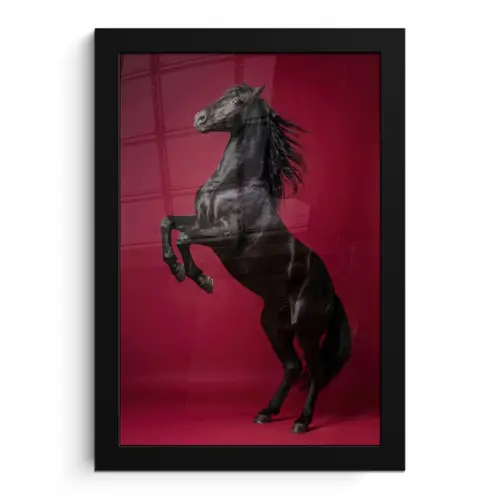 Hengst - Steigert - Rood fotolijst zwart zonder passe partout klein -3d