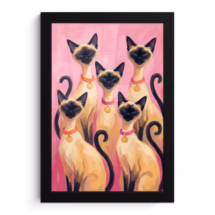 Kat - Groep - Dieren - Modern - Roze fotolijst zwart zonder passe partout klein -3d