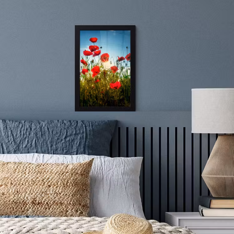 Klaprozen - Toscane - Zon - Rood - Blauw fotolijst zwart zonder passe partout klein -sfeer3