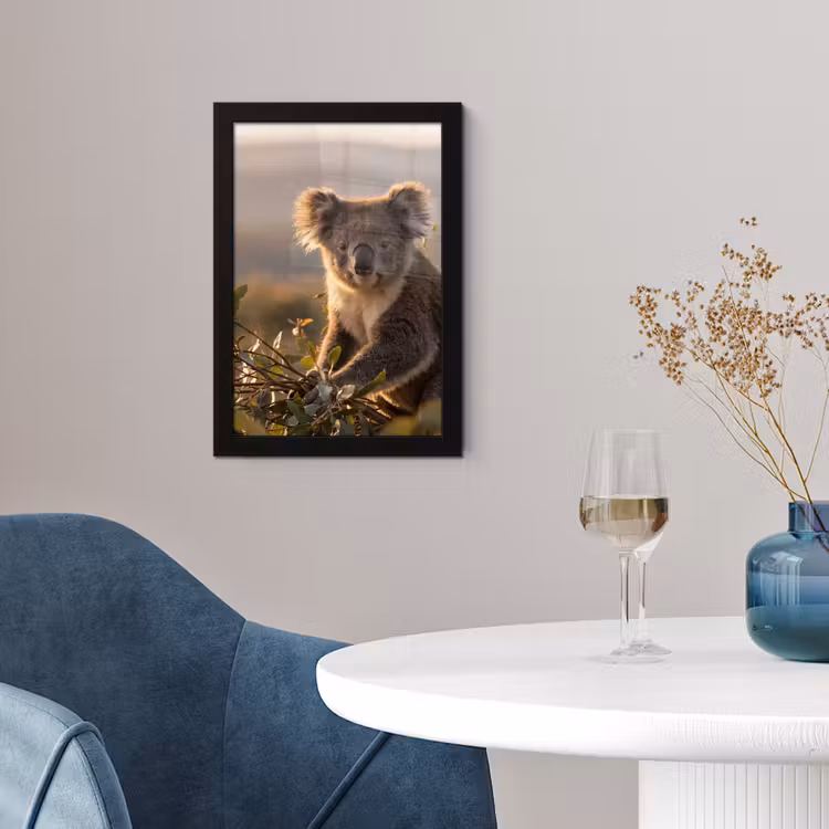 Koala - Bladeren - Ochtendlicht fotolijst zwart zonder passe partout klein -sfeer4