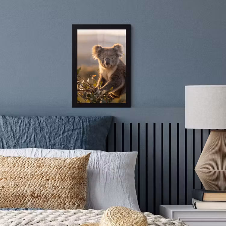 Koala - Bladeren - Ochtendlicht fotolijst zwart zonder passe partout klein -sfeer3