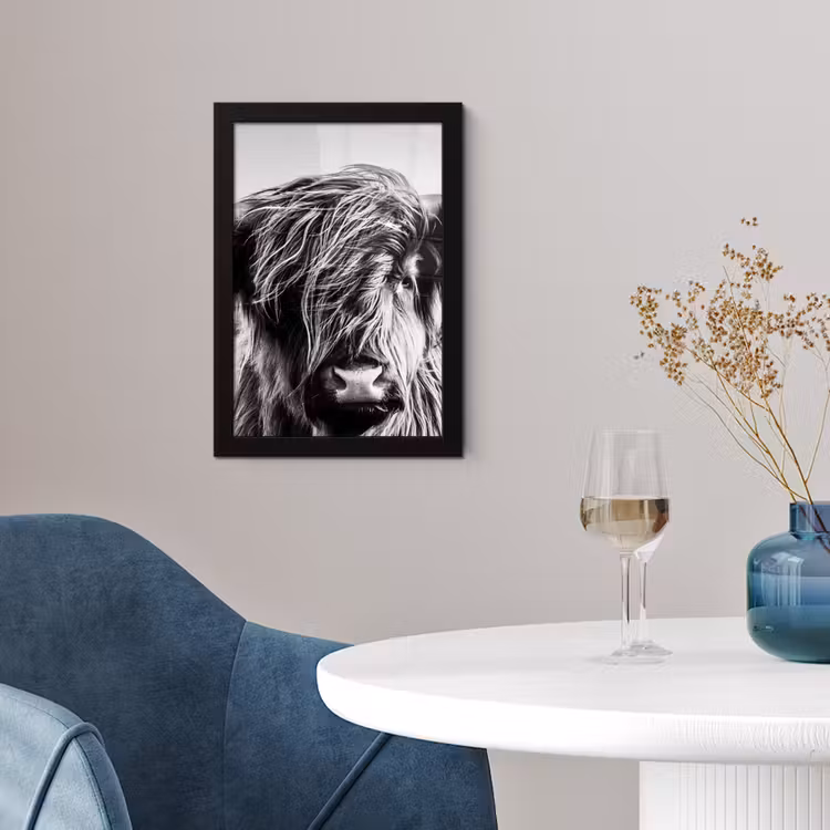Koe - Schotse hooglander - Zwart - Wit - Dier - Natuur - Wild fotolijst zwart zonder passe partout klein -sfeer4