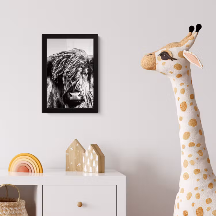 Koe - Schotse hooglander - Zwart - Wit - Dier - Natuur - Wild fotolijst zwart zonder passe partout klein -usfeer4_kinderkamer