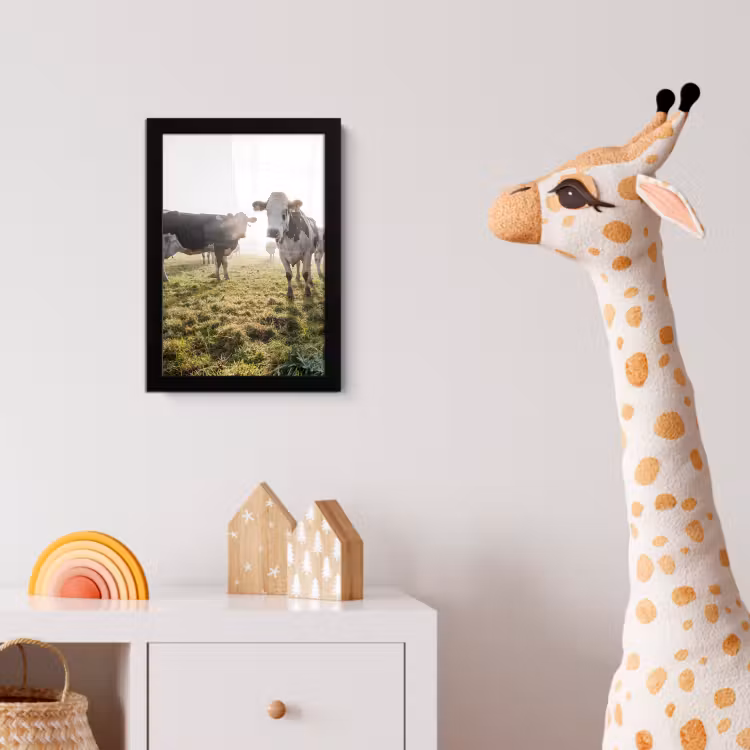 Koeien - Licht - Gras - Dieren fotolijst zwart zonder passe partout klein -usfeer4_kinderkamer