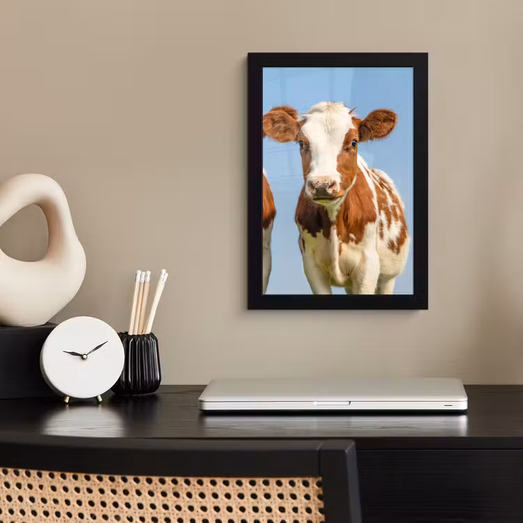 Koeien - Lucht - Dieren - Boerderij - Portret fotolijst zwart zonder passe partout klein -sfeer1