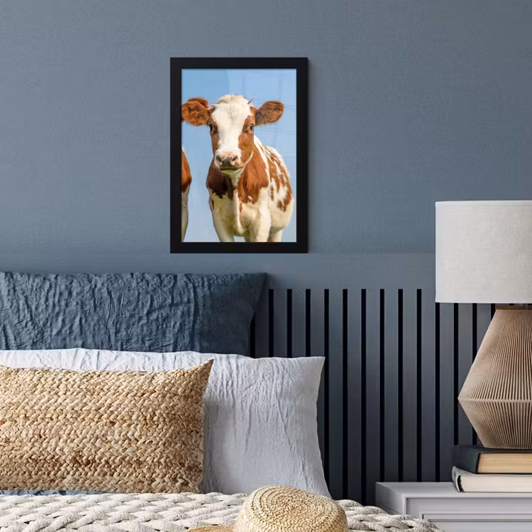 Koeien - Lucht - Dieren - Boerderij - Portret fotolijst zwart zonder passe partout klein -sfeer3