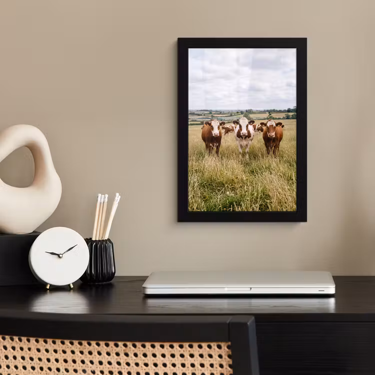 Koeien - Portret - Weide - Boerderij - Nieuwsgierig fotolijst zwart zonder passe partout klein -sfeer1