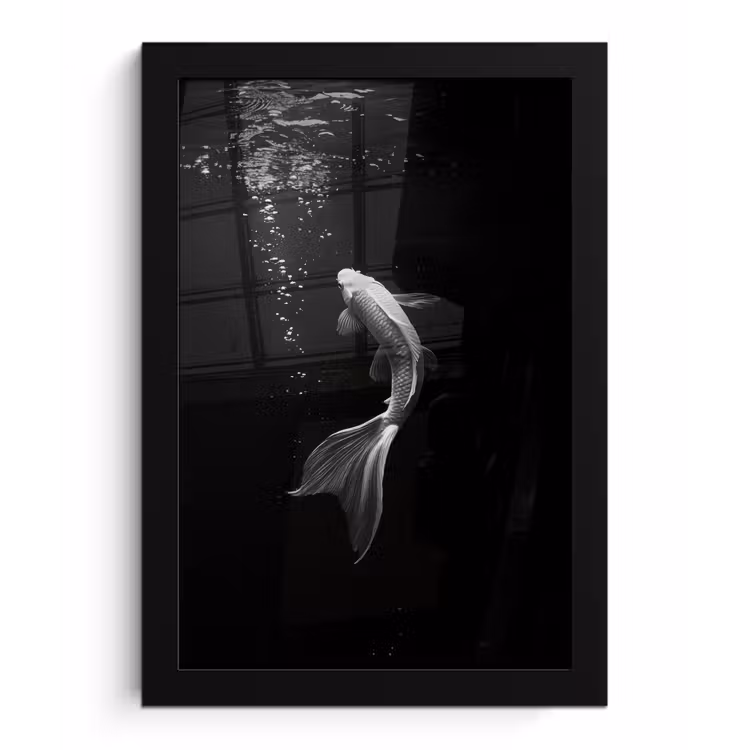 Koi - Vis - Wit - Zwart fotolijst zwart zonder passe partout klein -3d