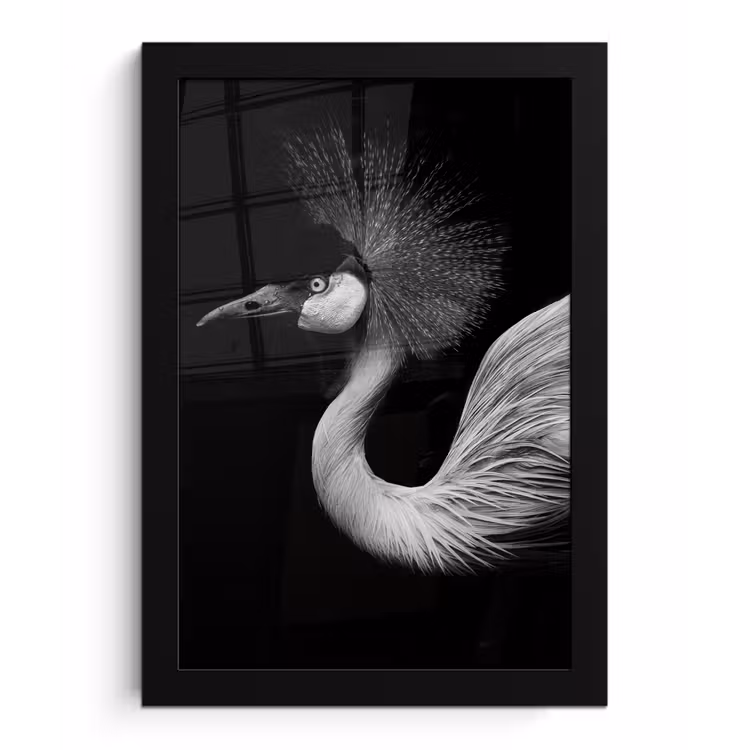 Kraanvogel - Zwart - Wit - Vogel - Dieren fotolijst zwart zonder passe partout klein -3d