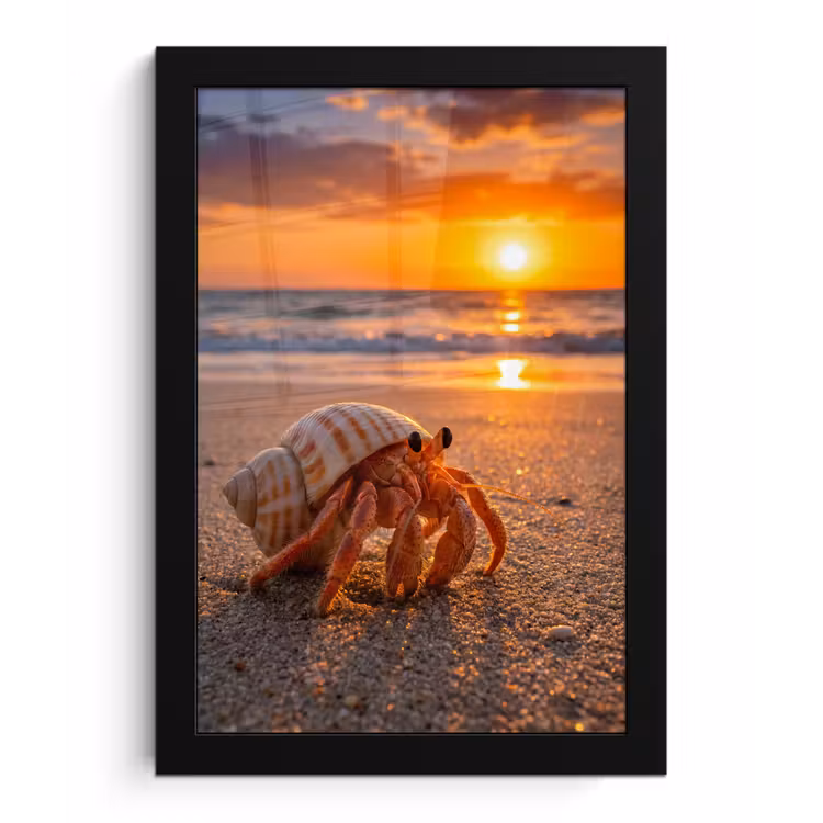 Kreeft - Strand - Natuur - Zonsondergang - Oranje fotolijst zwart zonder passe partout klein -3d
