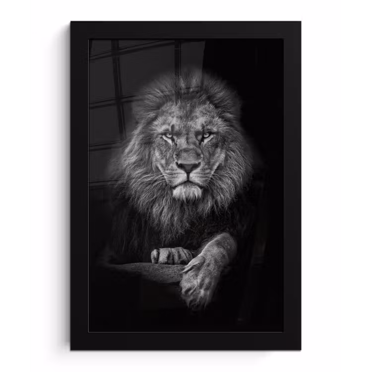 Leeuw - Dieren - Zwart - Wit fotolijst zwart zonder passe partout klein -3d