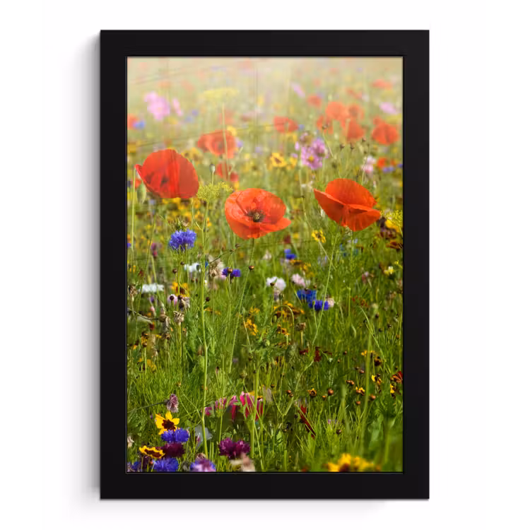 Lente - Bloemen - Rood - Klaproos - Gras - Groen fotolijst zwart zonder passe partout klein -3d