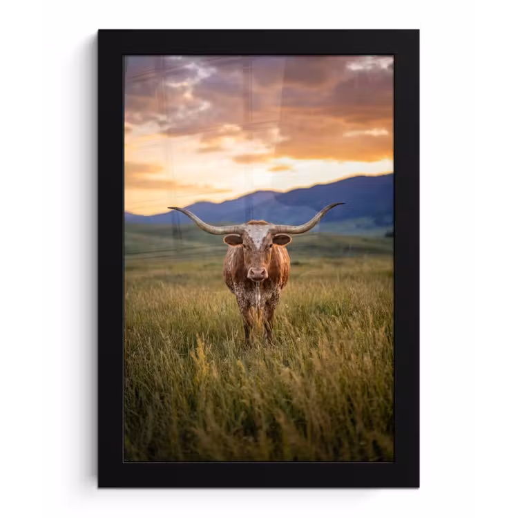 Longhorn - Landschap - Zonsondergang fotolijst zwart zonder passe partout klein -3d