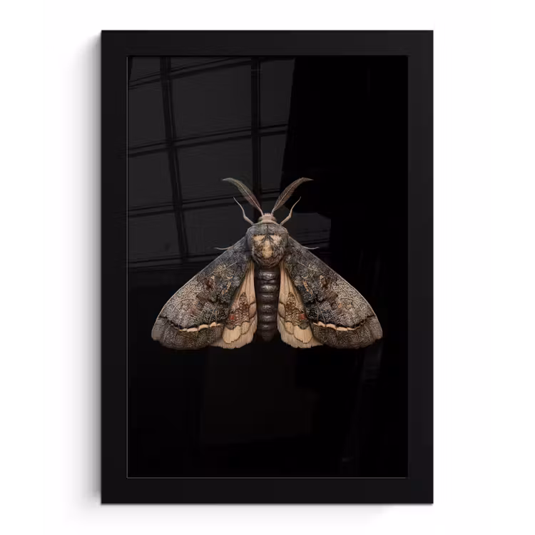 Mot - Bladachtig - Grijs fotolijst zwart zonder passe partout klein -3d