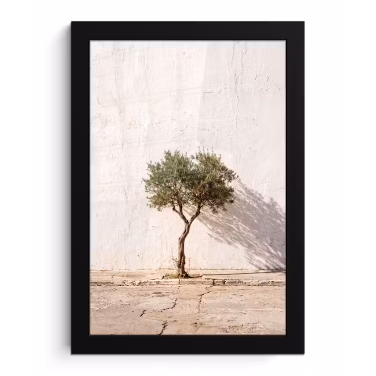 Poster met lijst - Olijfboom - muur - wit - Olijfboom - muur - wit fotolijst zwart zonder passe partout klein