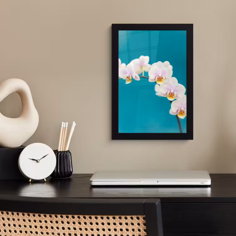 Orchidee - Bloemen - Plant - Wit - Paars fotolijst zwart zonder passe partout klein -sfeer1